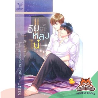 [พร้อมส่ง] หนังสือ   อัยย์หลงไน๋ นิยาย