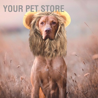 Your Pet Store วิกผม หมวกสิงโตน่ารัก สร้างสรรค์ สําหรับสัตว์เลี้ยง สุนัข แมว