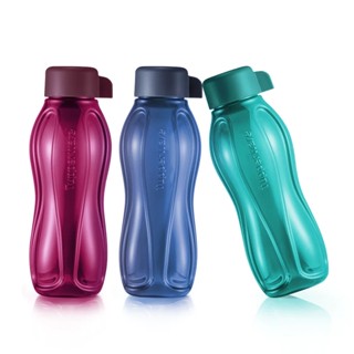 ขวดน้ำ Eco Bottle 310ml