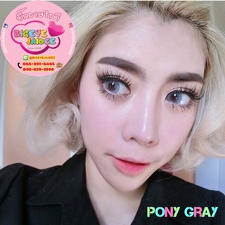 PitchyLens Pony Eff.19 Gray ใหญ่