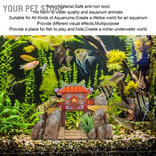 Your Pet Store ปราสาทเรซิ่น หลากสีสัน ปลอดสารพิษ สําหรับตกแต่งบ้านตู้ปลา