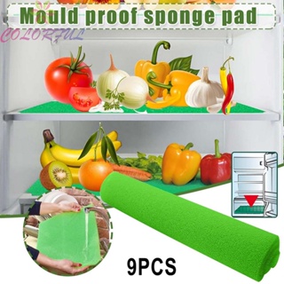 【COLORFUL】New Sponge Mat Sponge Mat Antifouling Filter Sponge Replacement Part Fruit Pad