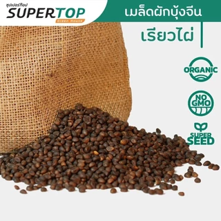 เมล็ดเพาะต้นอ่อน ผักบุ้งจีน พันธุ์เรียวไผ่ (Water convolvulus Microgreen) SUPERTOP ขนาด 1 KG.