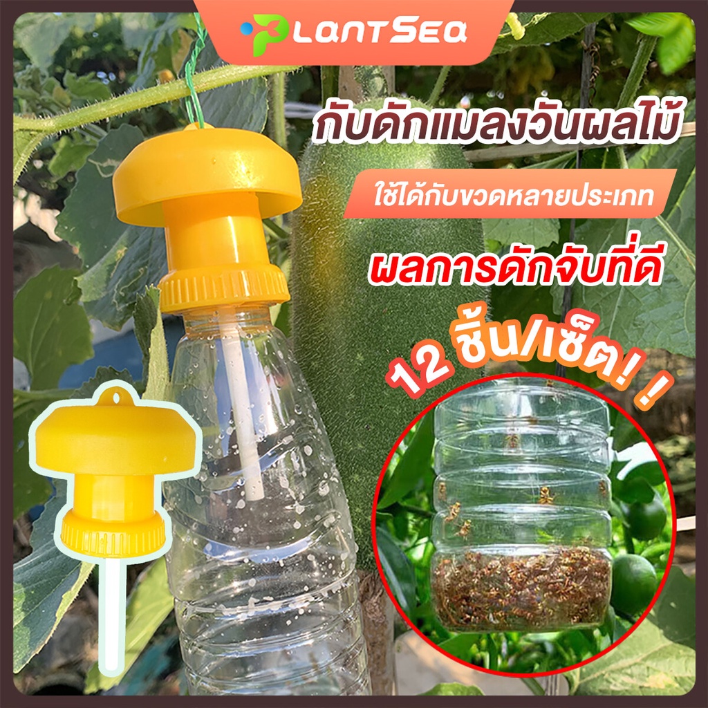 12 ชิ้น/เซ็ต ที่ดักแมลงวันทอง กับดักแมลงวันทอง กับดักแมลงวันผลไม้ แผ่นดักแมลงวัน ใช้ได้กับขวดหลายประเภท **ไม่รวมขวดน้ำ**