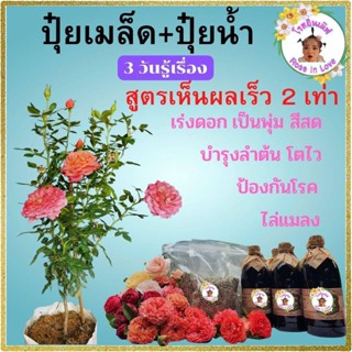 ปุ๋ยกุหลาบเมล็ด 500 g ปุ๋ยน้ำชีวภาพ 500 mlใส่กุหลาบ ไม้ดอก ทุกชนิด ช่วยให้แตกยอด แตกกิ่ง ใบเขียว ออกดอกเร็ว สีสด ไล่แมลง