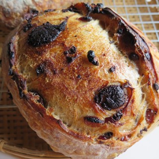 Ⓥ Bitter-Bitter Triple Chocolate Cranberry Sourdough (ชอบขมๆ) (16% Whole Wheat)