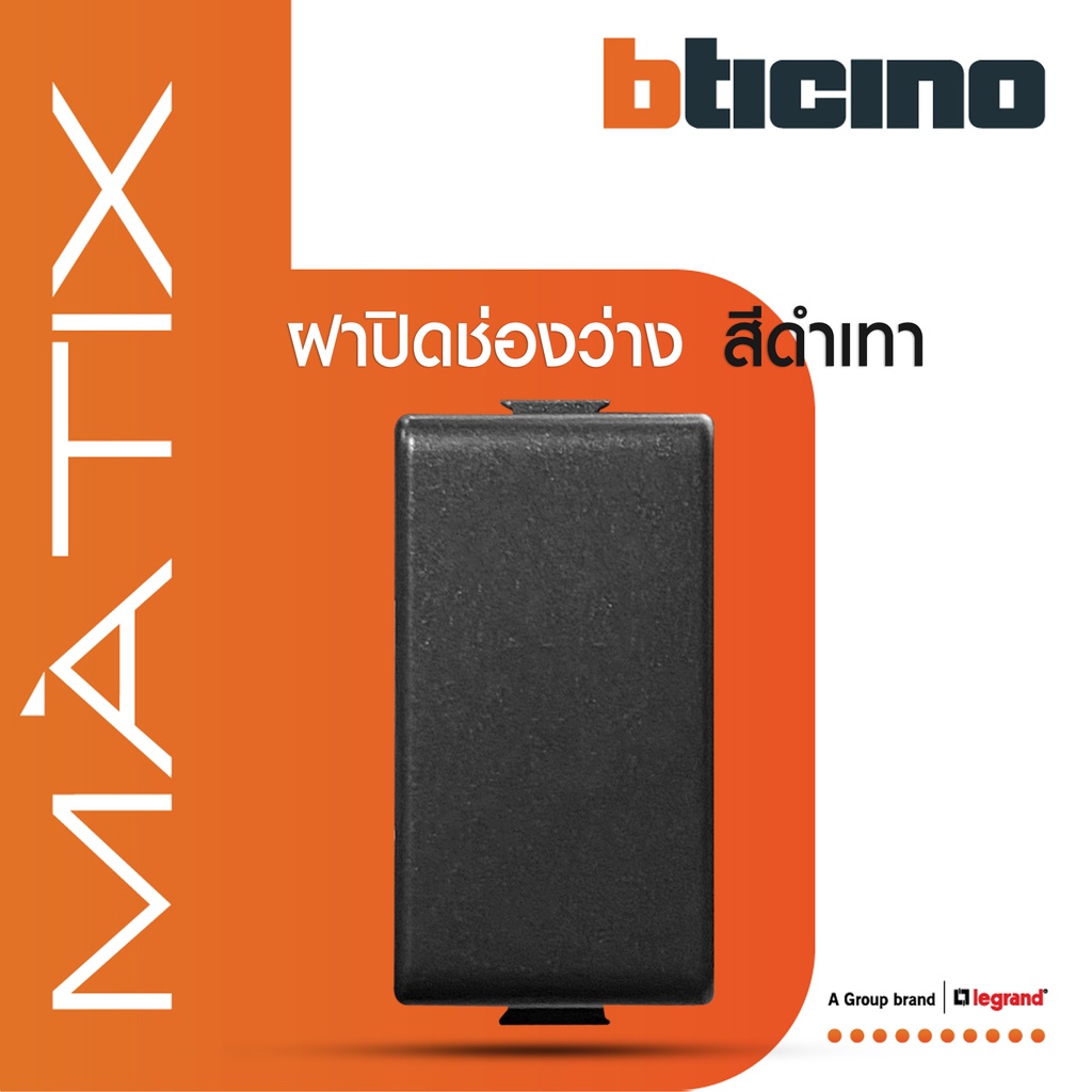 BTicino ฝาอุดช่องว่าง 1 ช่อง มาติกซ์ สีดำ Blank Insert 1 Module | Black | Matix | AG5000 | BTiSmart