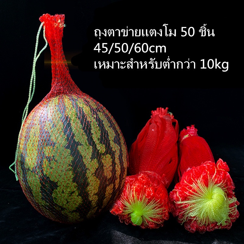 50ชิ้นแตงโมหนาไนล่อนพลาสติกทอถุงตาข่าย45/50/60เซนติเมตรเหมาะสำหรับด้านล่าง10กิโลกรัม