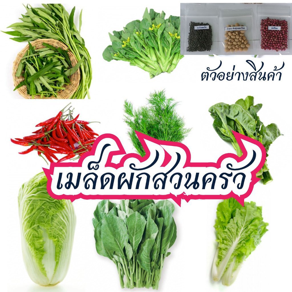 เมล็ดผัก เมล็ดผักสวนครัว เม็ดผัก ชุดที่ 1 ผักชี ผักบุ้งจีน โหระพา ขึ้นฉ่เมล็ด/ง่าย ปลูก สวนครัว ดอก 