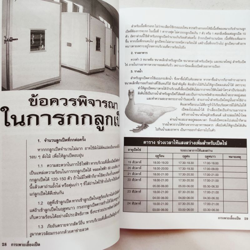 หนังสือเกษตร คู่มือการเพาะเลี้ยงและขยายพันธุ์ เป็ดไข่ และ เป็ดเนื้อ ปก135 หนา80หน้า สัมภาษณ์พิเศษ เจ้าของฟาร์มเป็ดบาบารี - รูปที่ 4