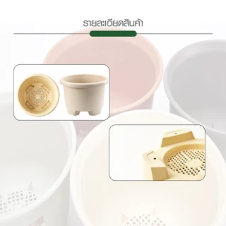 GlobalHouse Tree O กระถางต้นไม้ รุ่น PY-2007WT ขนาด 27 x 27 x 18.5 ซม. (12นิ้ว) สีขาว สินค้าของแท้คุณภาพดี
