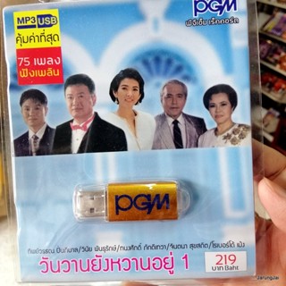 usb วันวานยังหวานอยู่ 1 ทิพย์วรรณ วินัย พันธุรักษ์ ทนงศักดิ์ จินตนา ดวงใจ หนาวตัก mp3 usb pgm