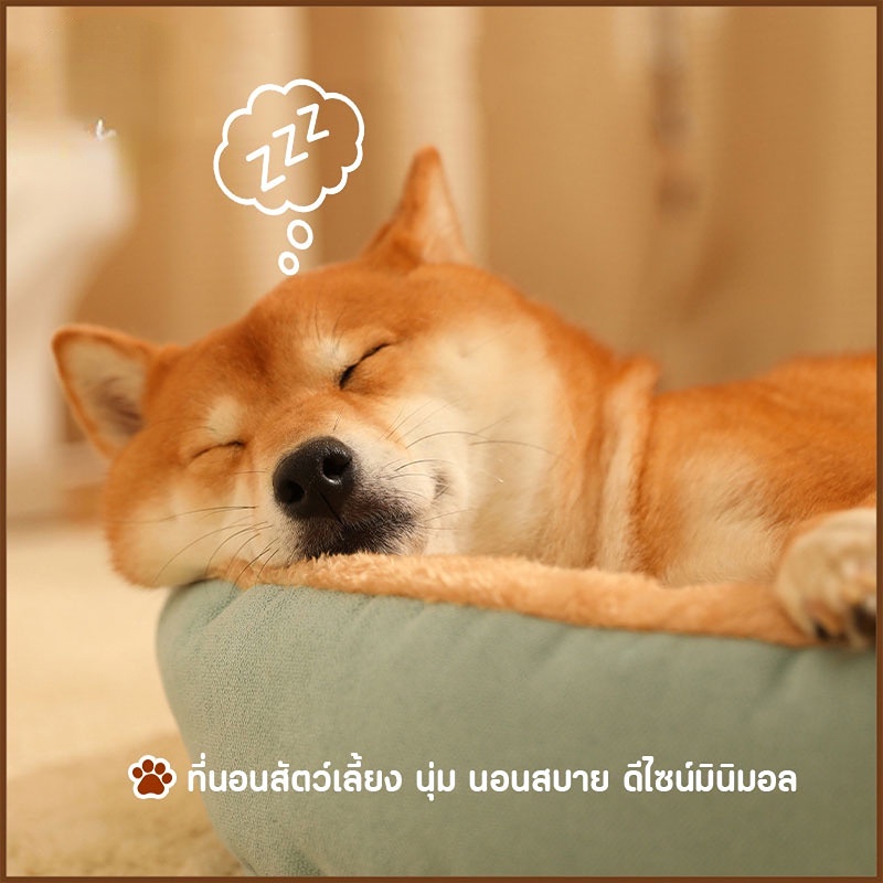 รูปภาพ 6