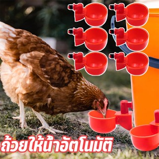 COD ถ้วยให้น้ำอัตโนมัติ 10 ชิ้น ไก่/นกกระทา ปรับน้ำได้ สะดวก ทำความสะอาด