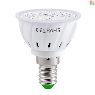 หลอดไฟปลูกพืชในร่ม LED E14 สีแดง และสีฟ้า สําหรับปลูกพืชไฮโดรโปนิก ดอกไม้อวบน้ํา เรือนกระจก (220V)