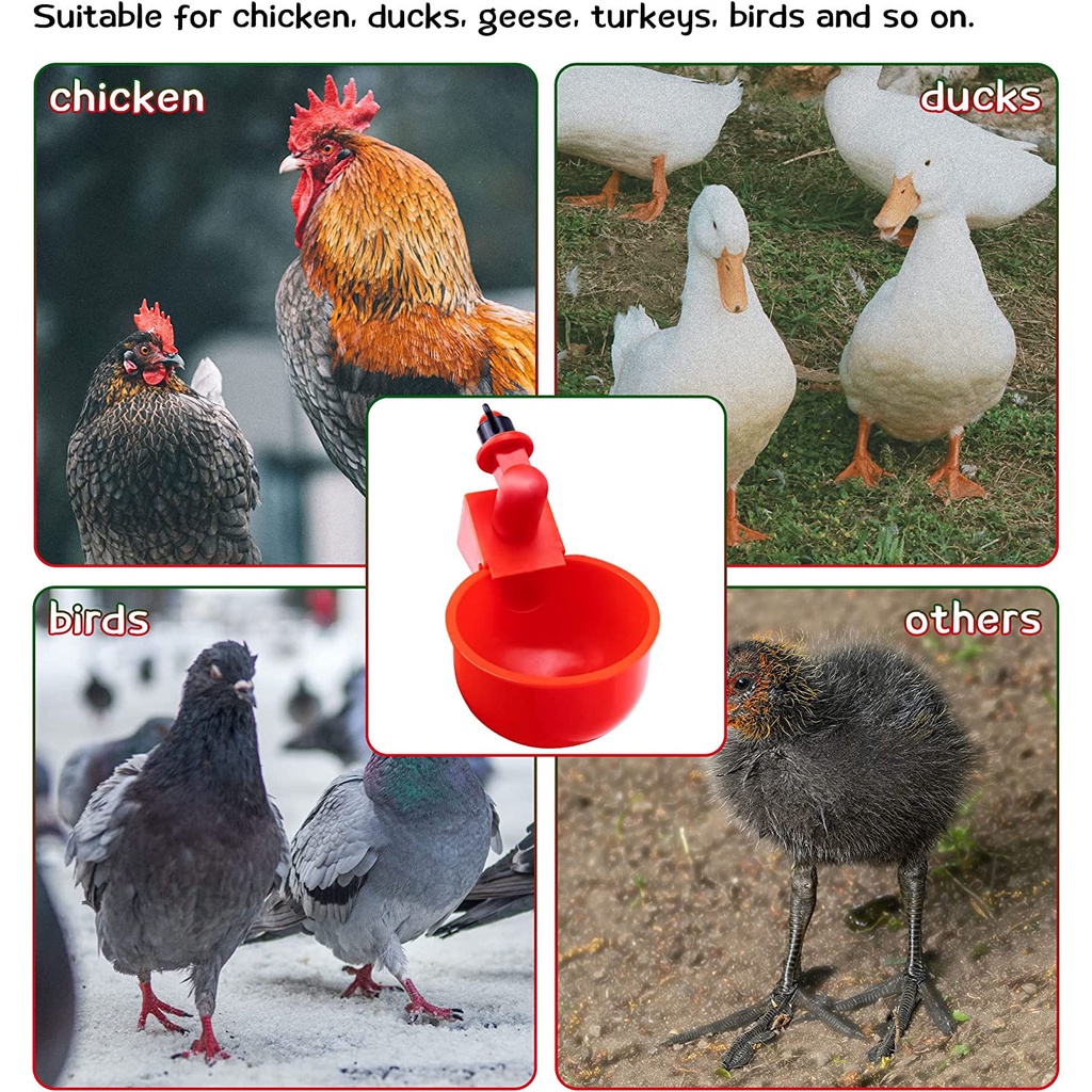 COD ถ้วยให้น้ำอัตโนมัติ 10 ชิ้น ไก่/นกกระทา ปรับน้ำได้ สะดวก ทำความสะอาด