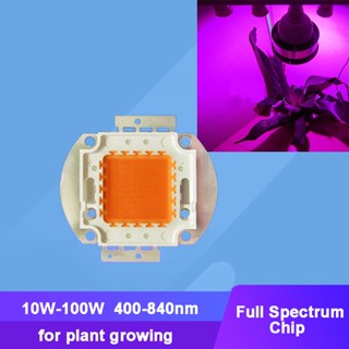 โคมไฟสเปกตรัม 10W - 100W สีชมพู 400-840nm SMD LED สําหรับปลูกพืช พิพิธภัณฑ์สัตว์น้ํา