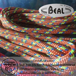 [มีใบเซอร์] เชือกพูสิก 6 มิลลิเมตร โพลีอามายด์ มาตรฐาน EN 564 Beal Polyamide Cord Rope