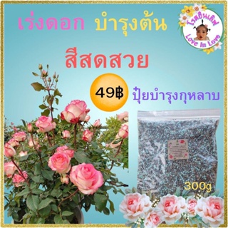 ปุ๋ยกุหลาบเม็ดสูตรพิเศษ 300 g บำรุงต้น ราก เร่งดอก สีสด ดอกใหญ่ เร่งการเจริญเติบโต เหมาะกับต้นไม้ทุกชนิด