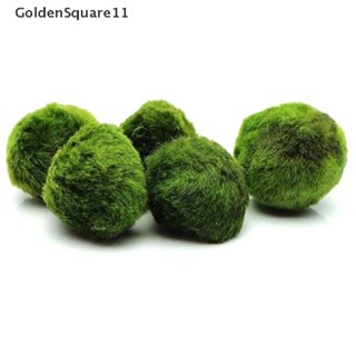 Goldensquare ลูกบอลมาริโมะ สาหร่าย กุ้ง ปลา เครื่องประดับ 2-3 ซม.