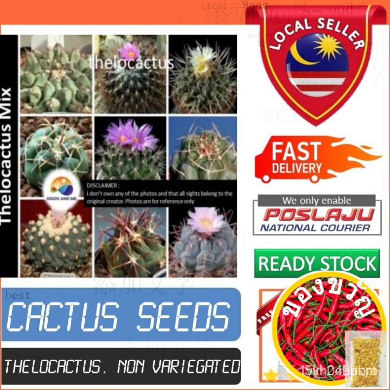 [Seeds &amp; Me] beenih Cactus seeds Cactus seeds thelocactus เมล็ดผสมชนิดต่างๆ &lt;0 88KD SDEP