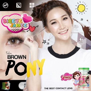 PrettyDoll Pony Eff.19 Brown ใหญ่