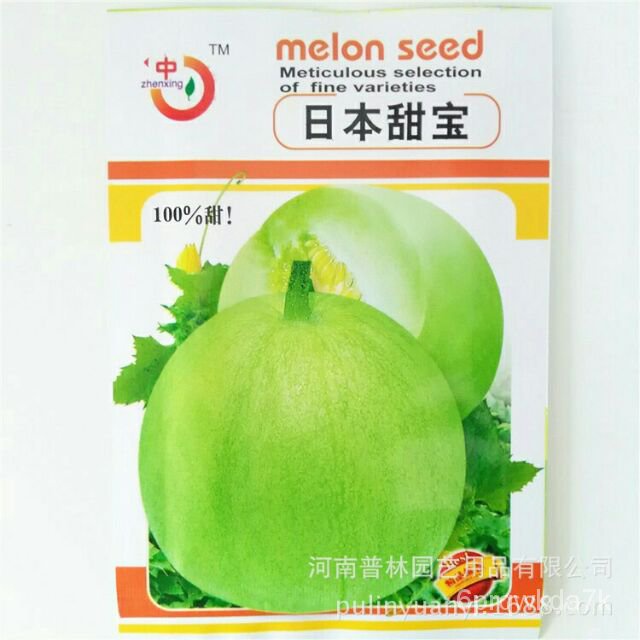 เมล็ดเมล่อน ฮันนี่ดิว (Honeydew Green Melon)100เมล็ด(ซองใหญ่) 8U47