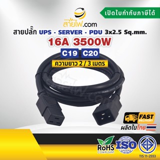 สายไฟ AC สายปลั๊ก UPS PDU 3x2.5 sq.mm. C20-C19