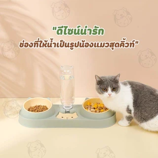 ชามอาหารรูปแมว ชาม3IN1 ถ้วยอาหารสัตว์เลี้ยง 2 หลุม ถ้วยอาหารแมว ชามอาหารสุนัข MLL