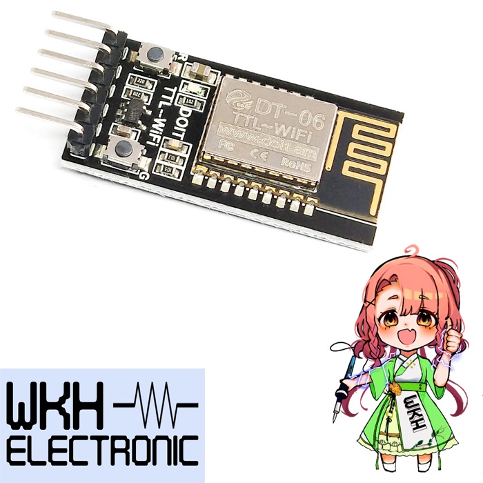 DT-06 TTL WiFi Module ESP-M2 DT06 การส่ง WiFi