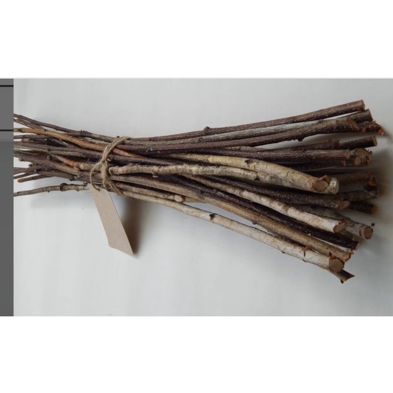 กิ่งไม้แห้งสำหรับตกแต่งในงานเทศกาล/DIY