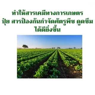 ชุดทำน้ำยาจับใบ สารจับใบ (สารเสริมประสิทธิภาพเคมีทางการเกษตร) ช่วยให้ยายึดเกาะตามใบมากขึ้น Sticking agents DIY Kit