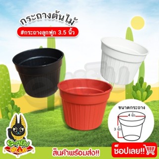 ****ราคาส่ง ***กระถางแคคตัสทรงลูกฟูก กระถางกระบองเพชร ขนาด 3.5 นิ้ว (แพ็ค 50 ใบ/100 ใบ)