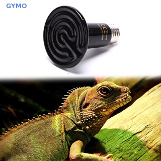 [cxGYMO] หลอดไฟเซรามิคอินฟราเรด ความร้อน สําหรับสัตว์เลี้ยง สัตว์เลื้อยคลาน HDY