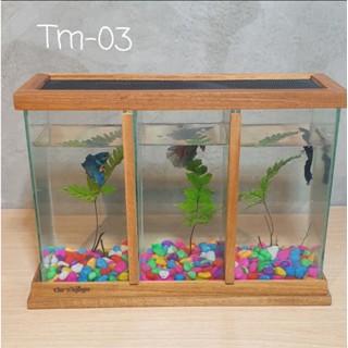 ตู้ปลากัด ไม้สักทองTm03