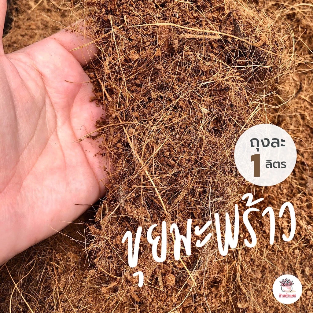 [ 1 ลิตร ] ขุยมะพร้าว แคคตัส กระบองเพชร ไม้อวบน้ำ