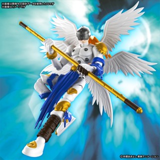 Bandai โมเดลฟิกเกอร์ การ์ตูนอนิเมะ Digimon Adventure Angemon ของเล่น ของสะสม