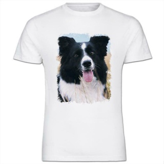 Border Collie Dog Sitting In Cotton Field Newest Fashion T-shirt For Best Gift_04