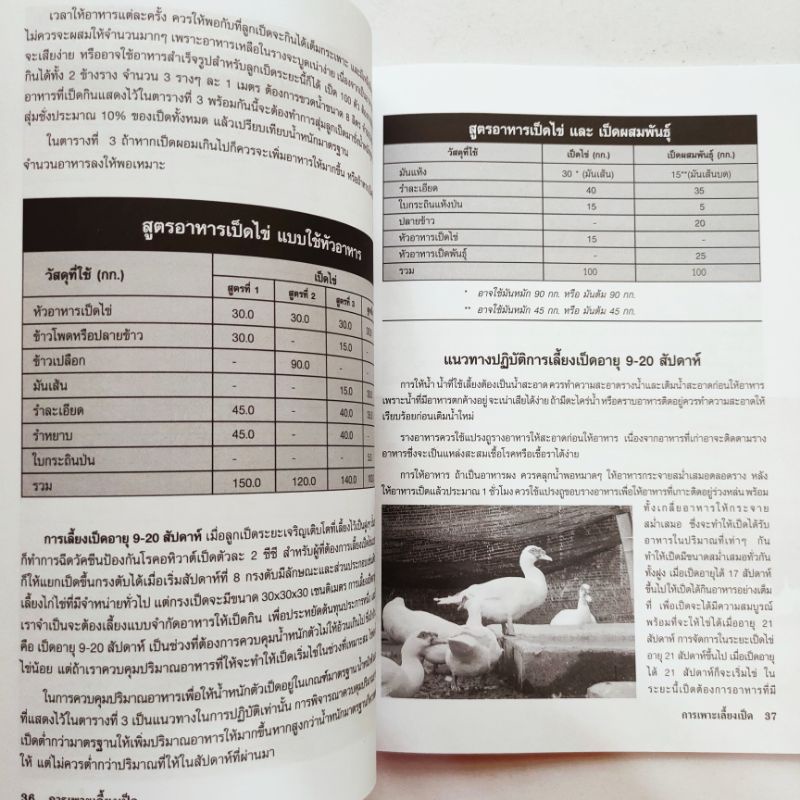 หนังสือเกษตร คู่มือการเพาะเลี้ยงและขยายพันธุ์ เป็ดไข่ และ เป็ดเนื้อ ปก135 หนา80หน้า สัมภาษณ์พิเศษ เจ้าของฟาร์มเป็ดบาบารี - รูปที่ 5