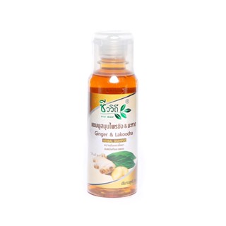 ชีววิถีแชมพูสมุนไพรขิง+มะหาด240มล.CHIVAVITHI  GINGER+LAKOOCHA SHAMPOO240ML