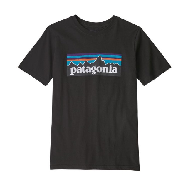 Patagonia เสื้อยืด Patagonia.