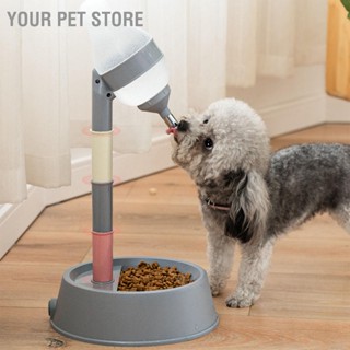 Your Pet Store เครื่องจ่ายน้ําอัตโนมัติ สําหรับสัตว์เลี้ยง สุนัข แมว