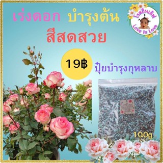 ปุ๋ยกุหลาบ ปุ๋ยเม็ดสูตรพิเศษ 100 g บำรุง ต้น ราก ดอก เร่งการเจริญเติบโต เหมาะกับพืชทุกชนิด Rose In Love โรสอินเลิฟ