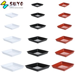 Suyo จานรองกระถางต้นไม้ พลาสติก ทรงสี่เหลี่ยม ทนทาน 1 ชิ้น