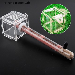 Strongaroetrtu รังมดไม้ไผ่ DIY สําหรับเวิร์กช็อป