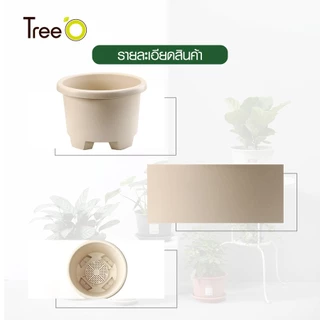 GlobalHouse Tree O กระถางต้นไม้ รุ่น PY-2007WT ขนาด 27 x 27 x 18.5 ซม. (12นิ้ว) สีขาว สินค้าของแท้คุณภาพดี