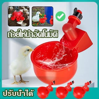 ถ้วยให้น้ำอัตโนมัติ ถ้วยให้น้ําไก่อัตโนมัติ แบบเกลียว สําหรับรดน้ําไก่ ปรับน้ำได้ ถอดล้างได้ ล้างทําความสะอาดได้