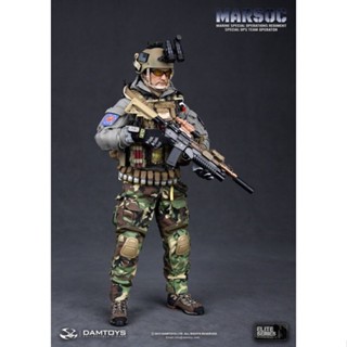 พร้อมส่ง ใหม่ โมเดล Damtoys DAM 78007 MARSOC MARSOC 1/6