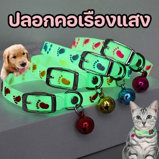 COD ปลอกคอเรืองแสง ปรับได้ ปลอกคอแมว ปลอกคอสุนัข ในที่มืด สำหรับแมว สุนัข ป้องกันการสูญหายในเวลากลางคืน