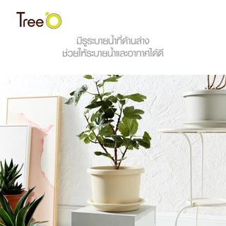 GlobalHouse Tree O กระถางต้นไม้ รุ่น PY-2007WT ขนาด 27 x 27 x 18.5 ซม. (12นิ้ว) สีขาว สินค้าของแท้คุณภาพดี